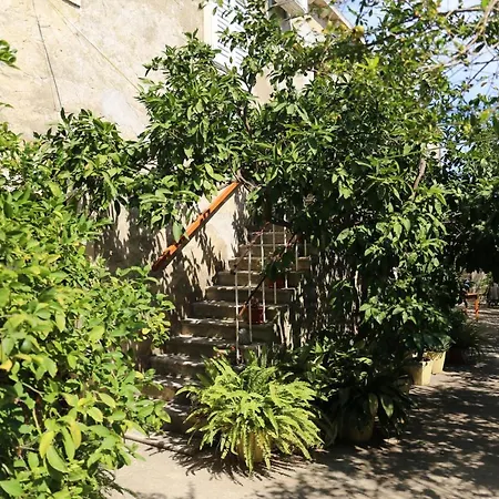 Casa de hóspedes Coosy Katarina