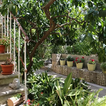 Coosy Rooms Katarina