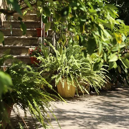 Coosy Rooms Katarina 3*